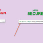 SSL Website Security - Why You Need It, from the Biology of Technology