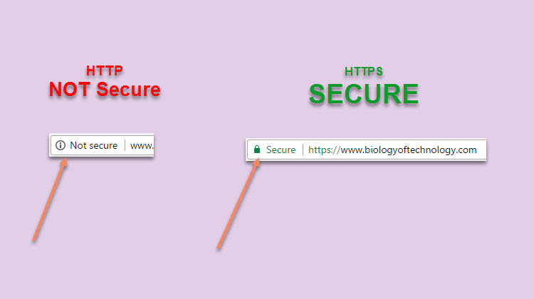 SSL Website Security - Why You Need It, from the Biology of Technology
