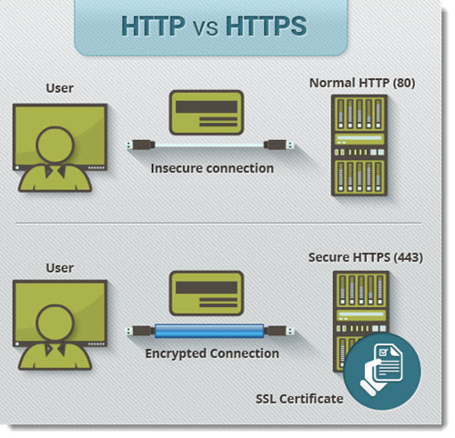 SSL Website Security - Why Your Website Needs It, from the Biology of Technology