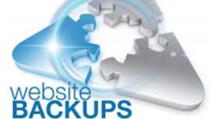 Does Your Website Backup? If you assume your website data is being backed up, you're in for a surprise. by Rick Howington at Biology of Technology